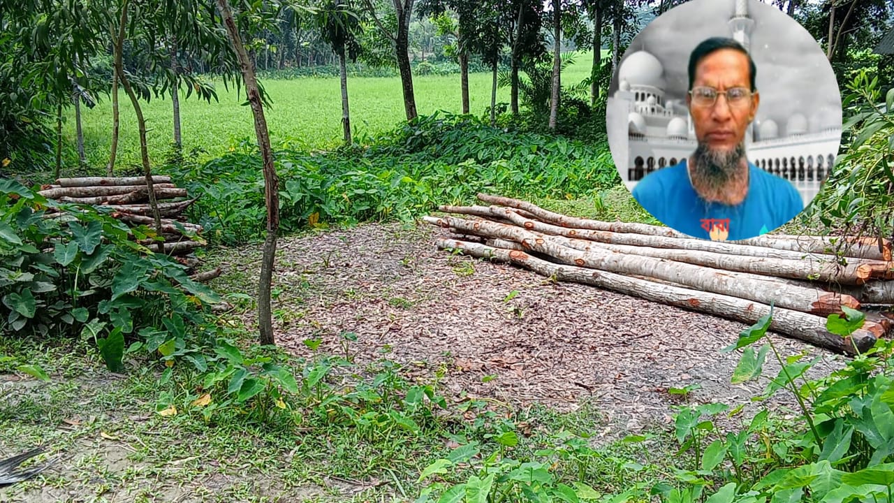 বেতাগীতে সরকারি গাছ বিক্রির অভিযোগ সাবেক পোস্টমাস্টার নুরুল ইসলামের বিরুদ্ধে , বিক্রিত ১৪ টি গাছ জব্দ বন কর্মকর্তা ।