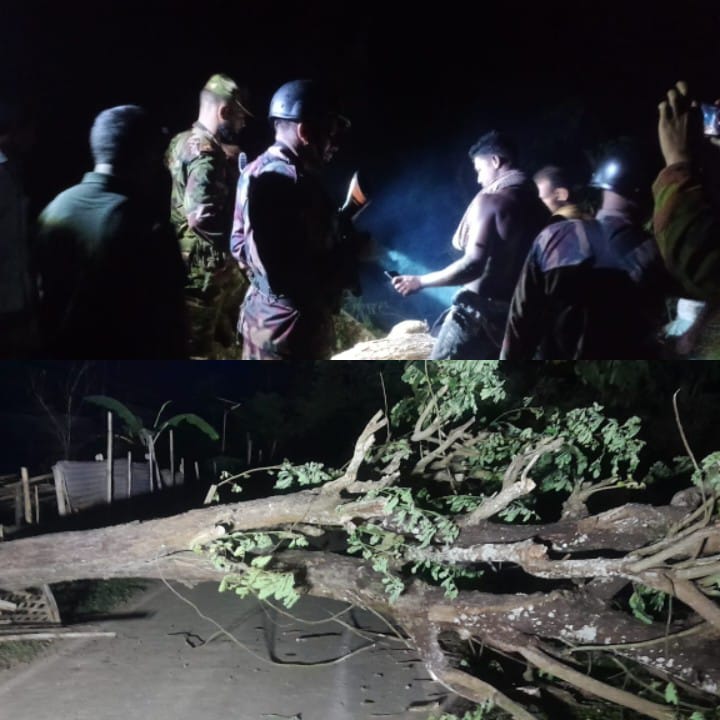 গাছ কেটে সড়ক বন্ধ, পাহাড়ে ফের অস্থিরতা সৃষ্টির চেষ্টা; ইউপিডিএফকে দায়ী করছেন স্থানীয়রা,
