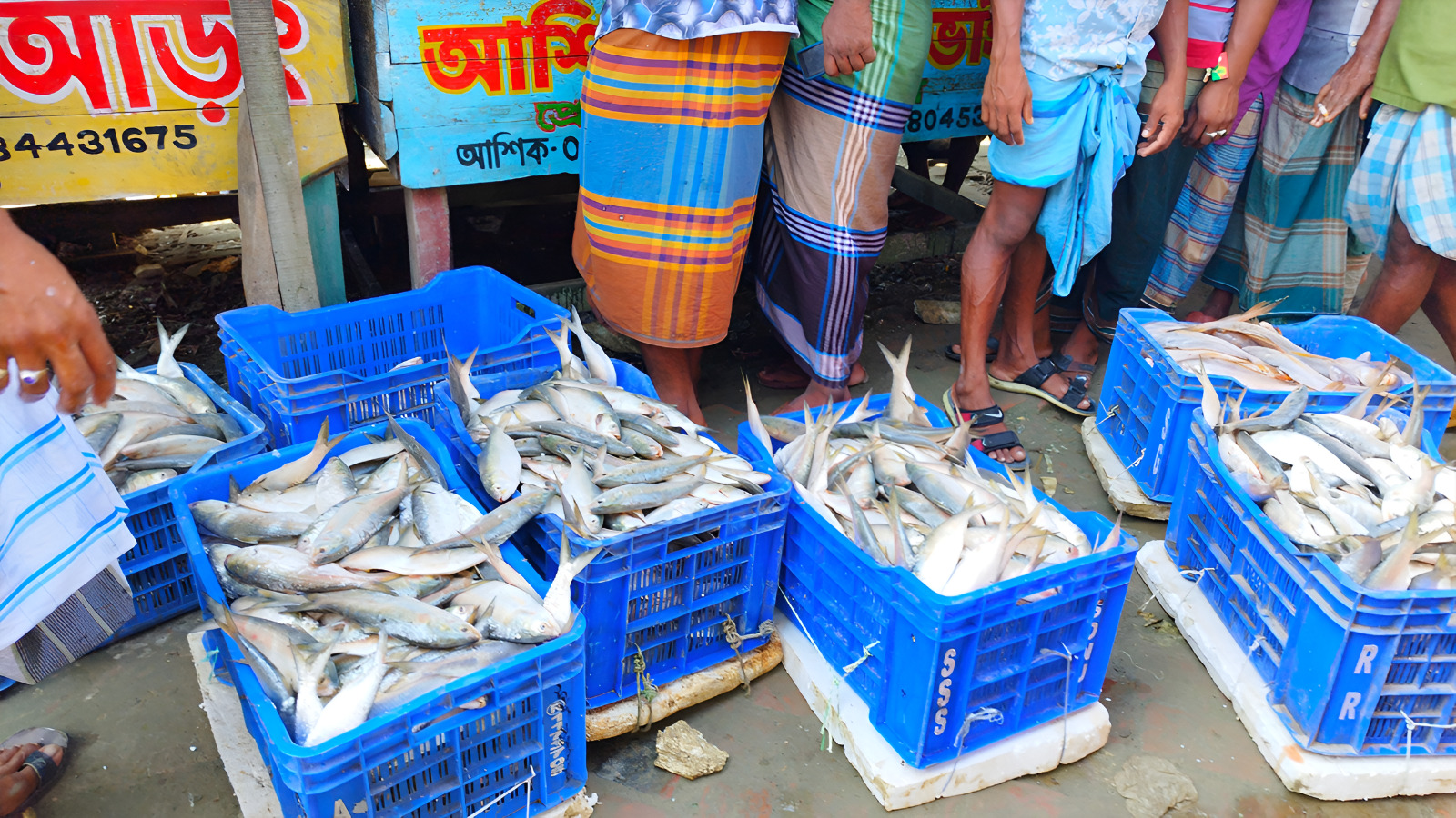 নিষেধাজ্ঞা শেষে ঘাটে ফিরেছে প্রাণচাঞ্চল্য,